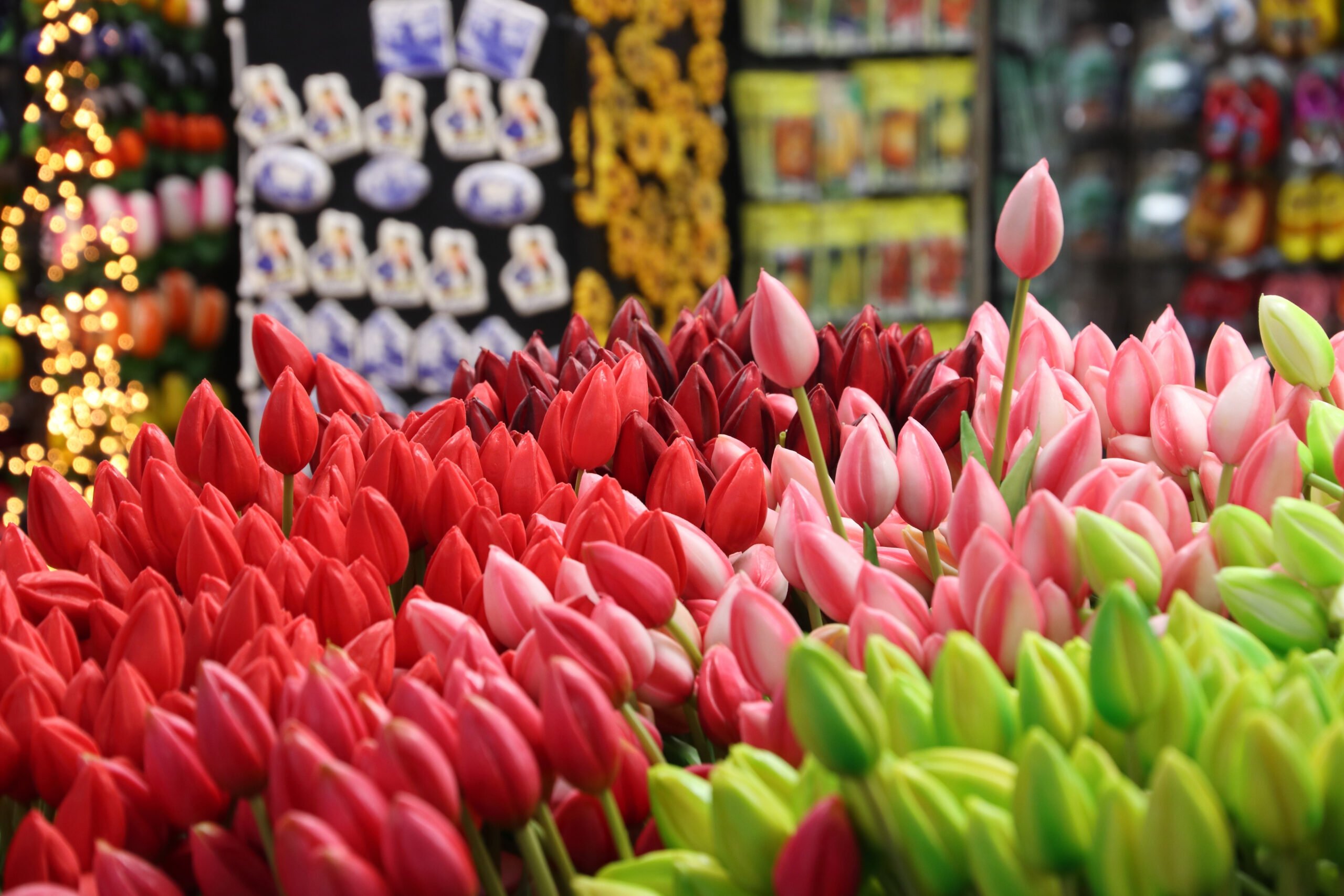 Things to do in Amsterdam