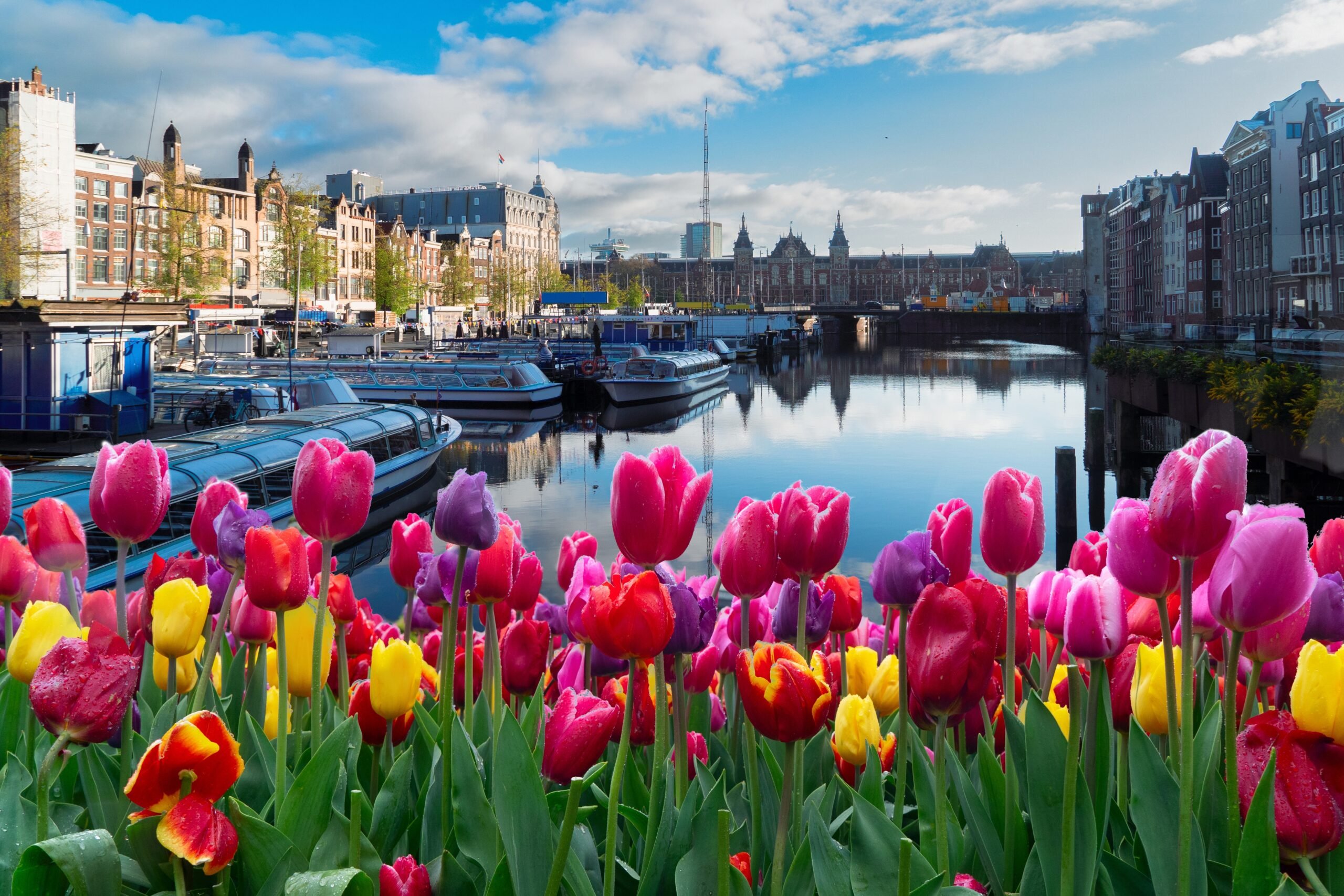 Things to do in Amsterdam