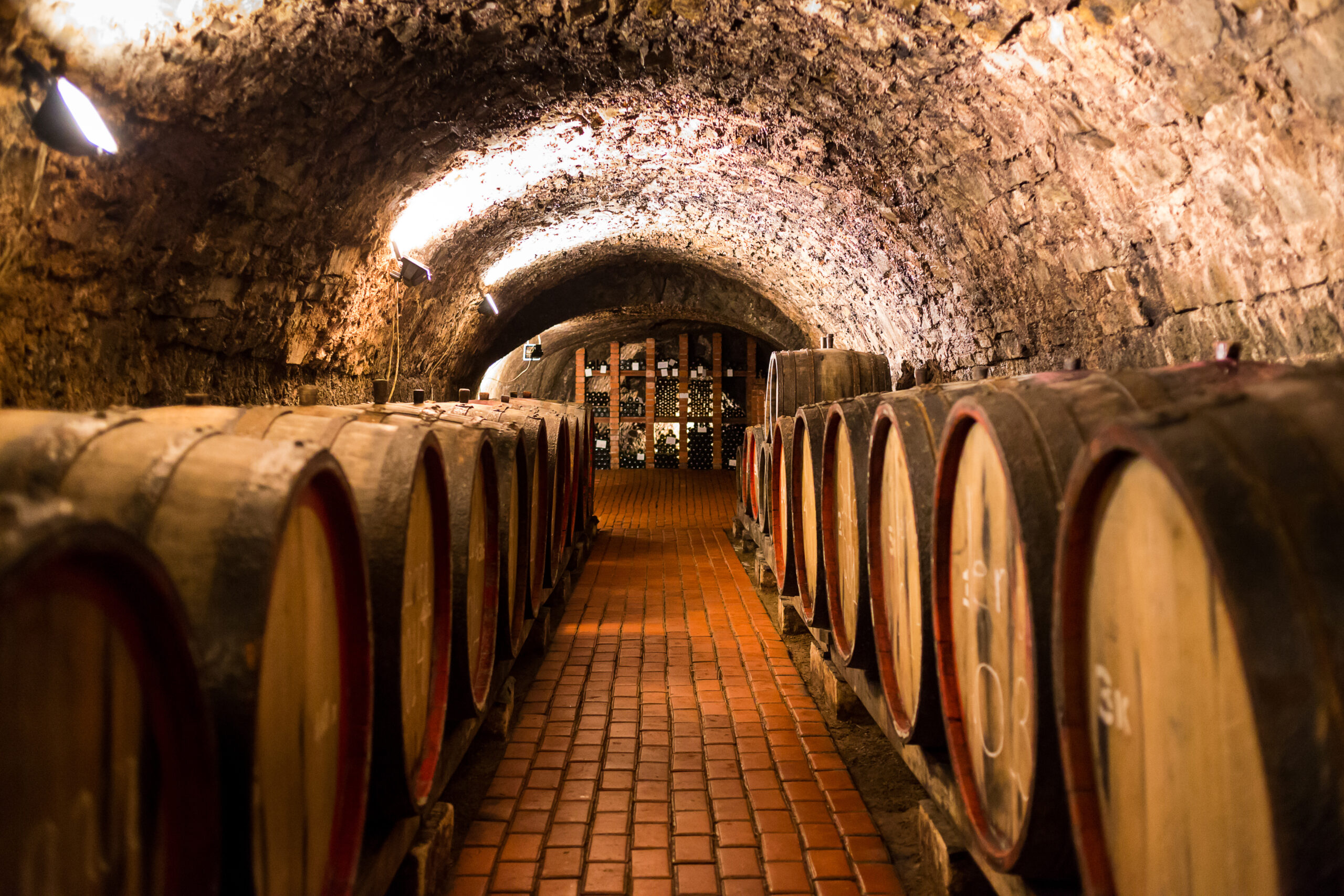 Things to do in Porto