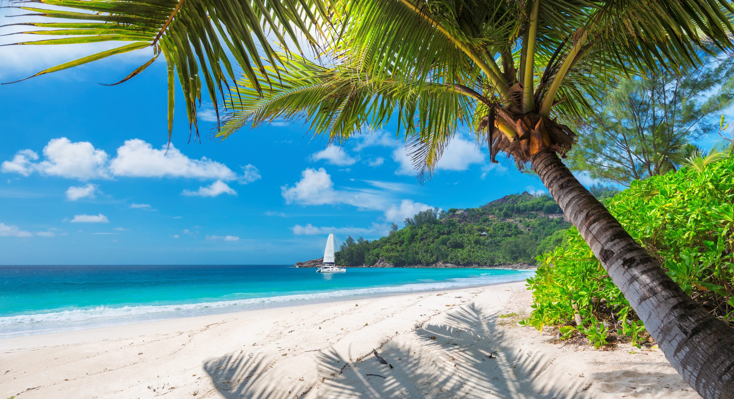 Waves, Wonders, and Wanderlust: Coastal Adventures with Gray Line