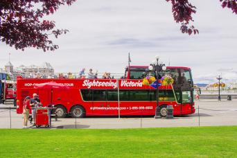 Victoria Hop on Hop Off Half Day Ticket