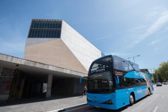 Porto Sightseeing Bus Tour & River Cruise - Expert 48h