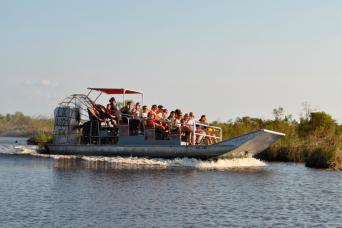 Large Airboat Swamp Tour